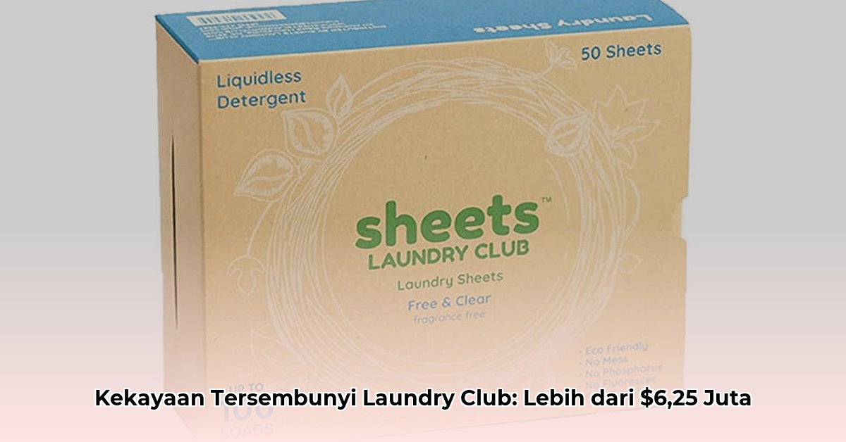 sheets laundry club net worth